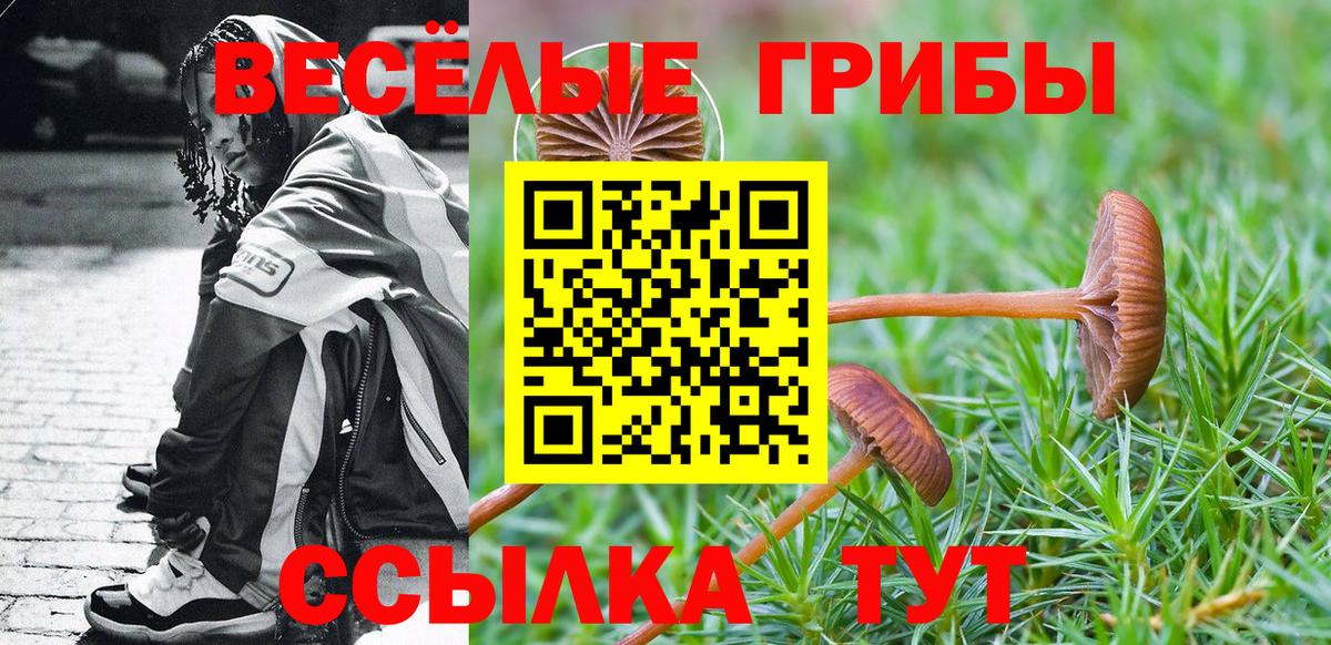 Псилоцибиновые грибы Magic Shrooms Южноуральск
