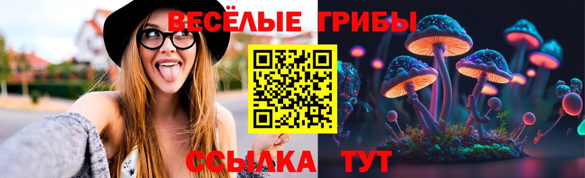 Галлюциногенные грибы Cubensis  Вход с VPN  Южноуральск 